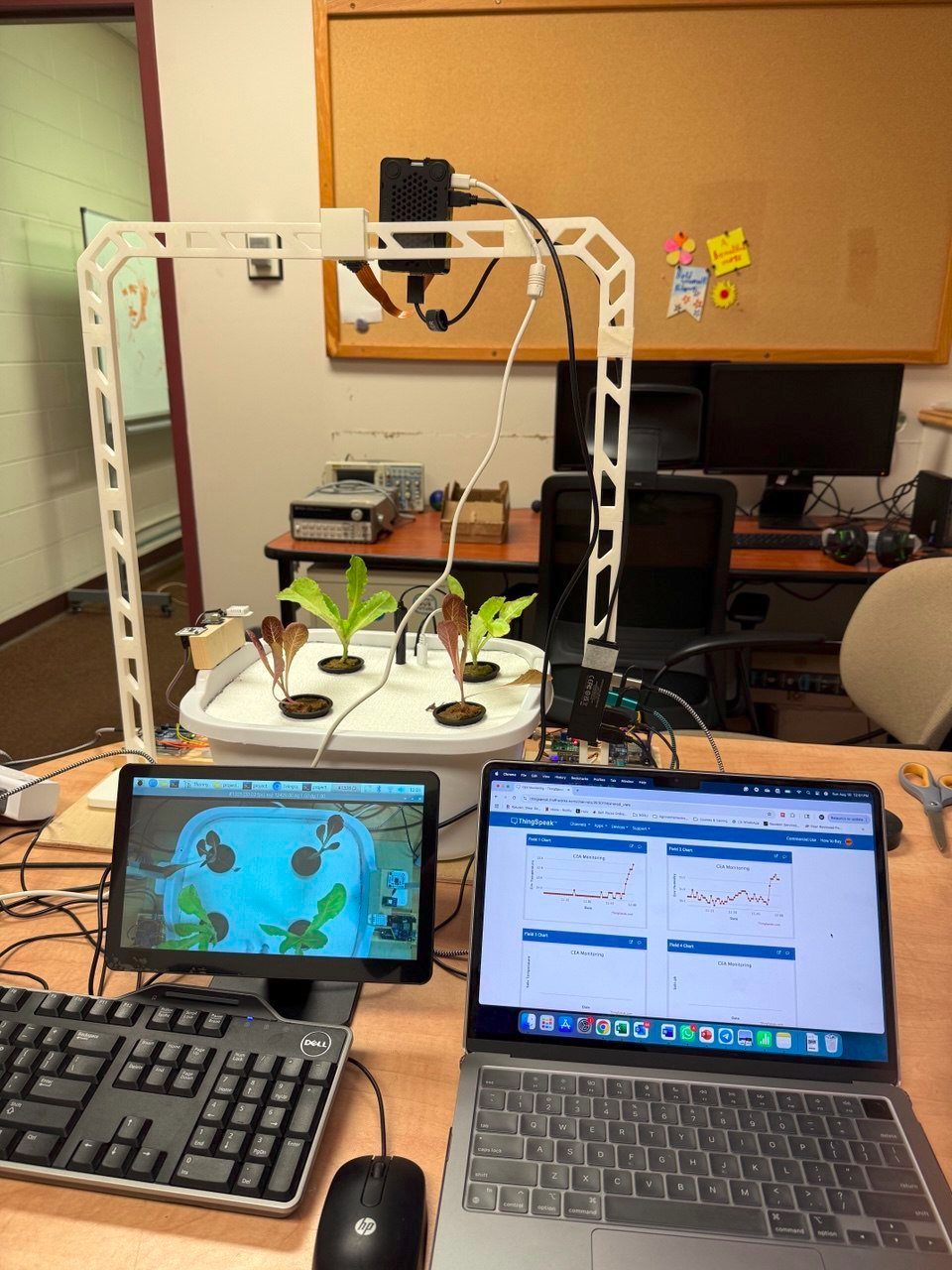 Hydroponic CEA monitoring system