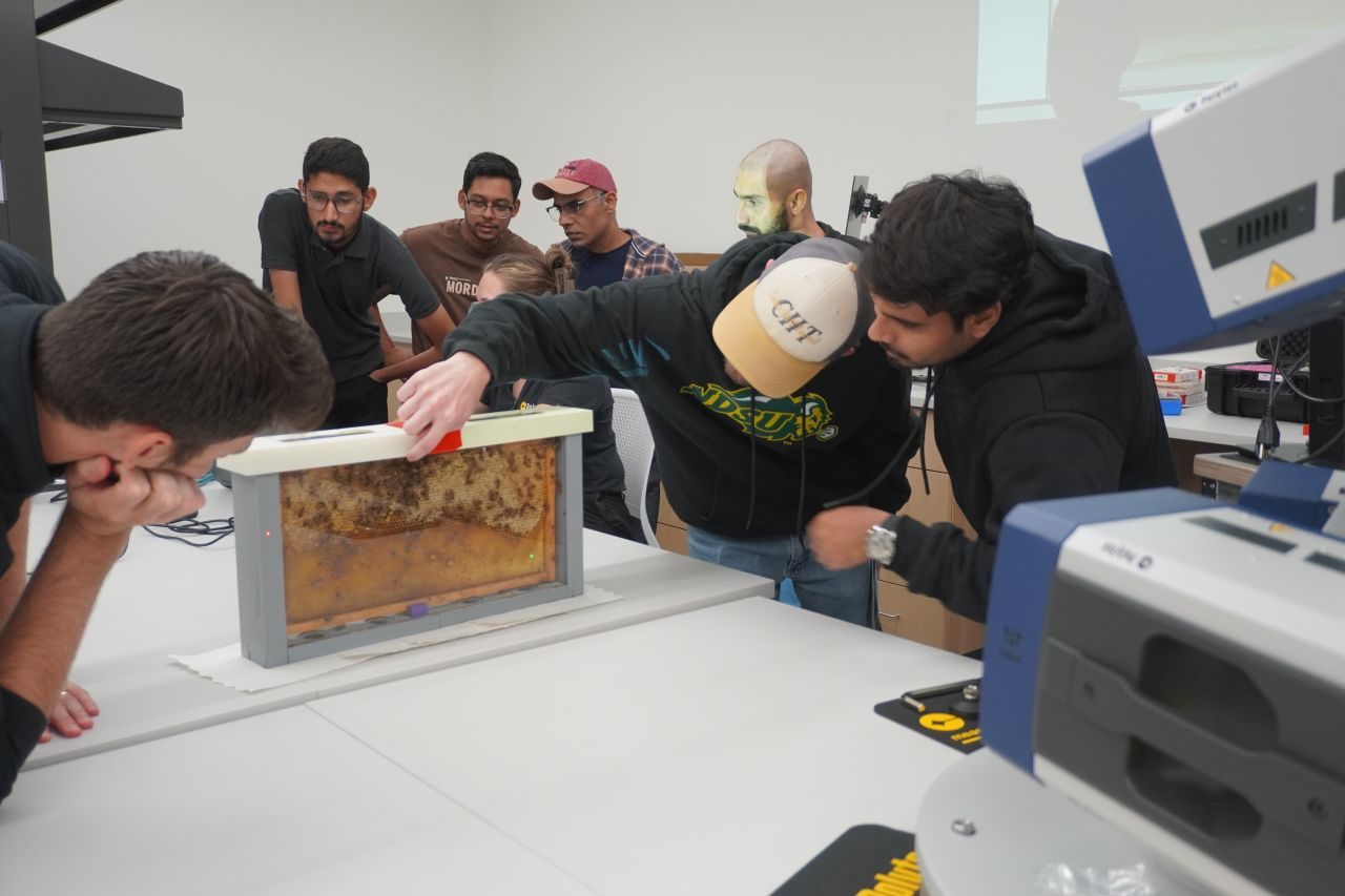 3D vibrometry on a live observation honey bee colony