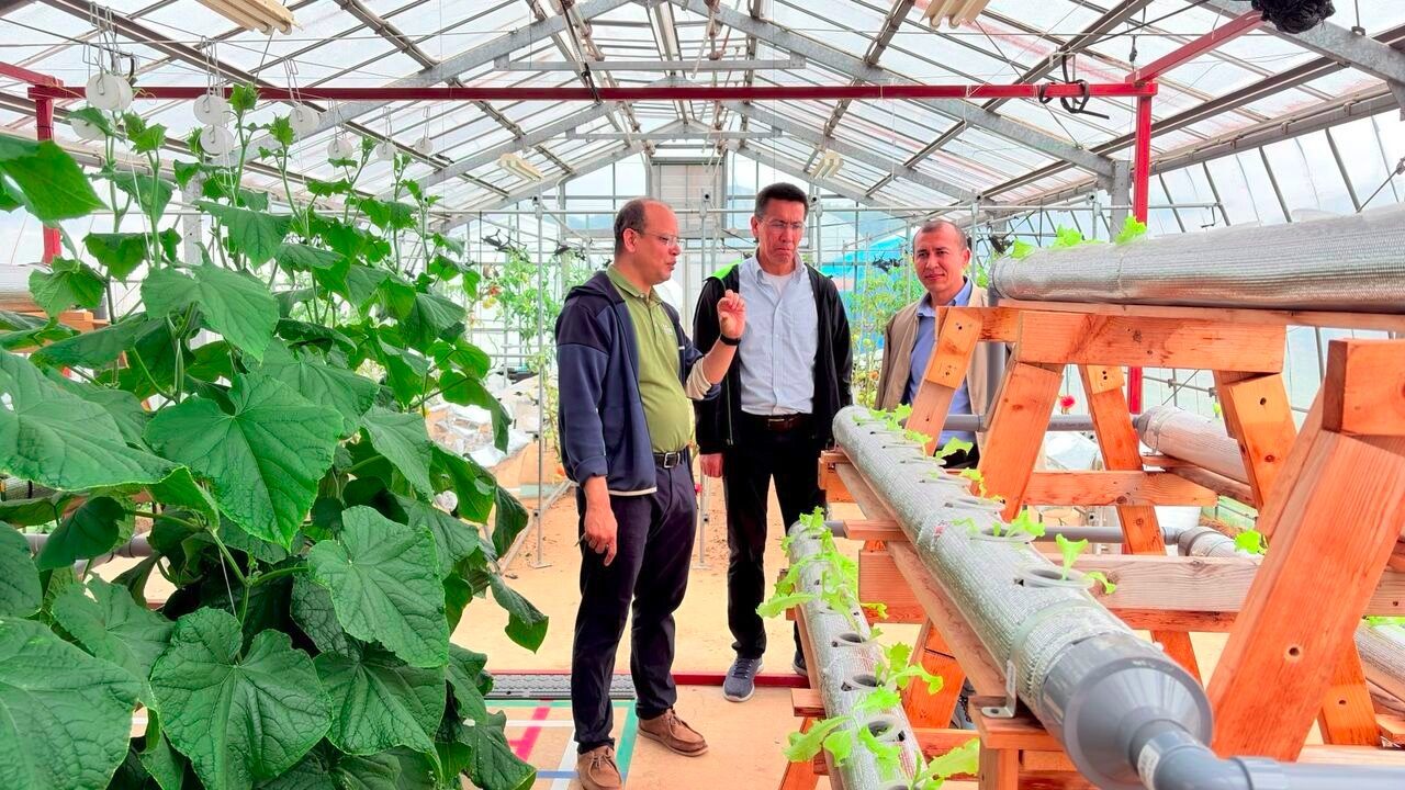 Greenhouse visit in Japan