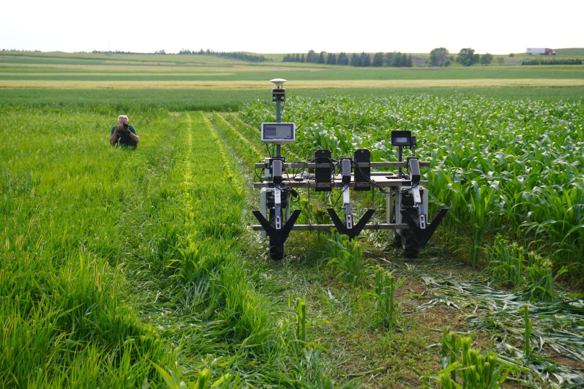 Weed control robot in field